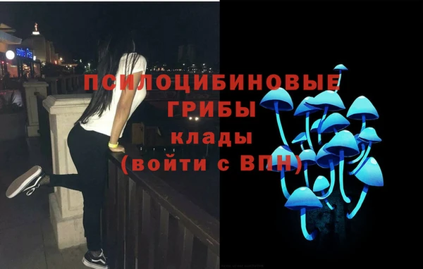 стафф Алзамай